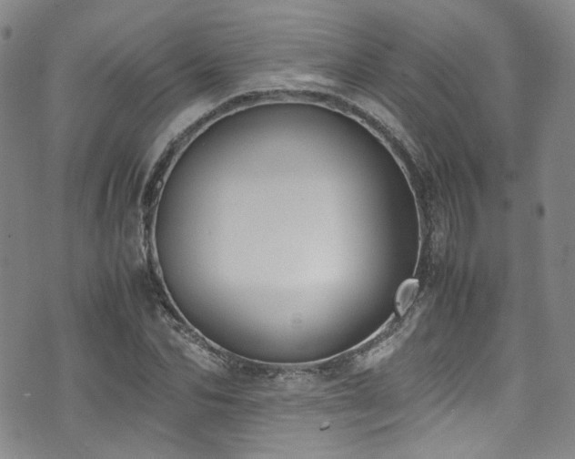 X0000072500974200607141125