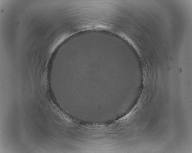 X0000072500975200607141125