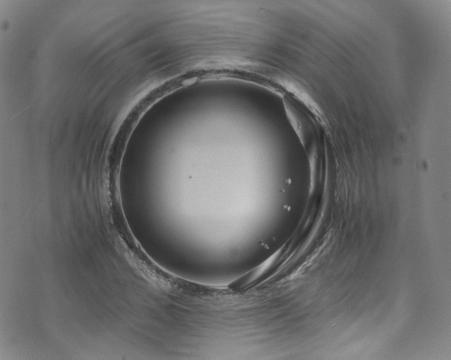 X0000072500976200607141125