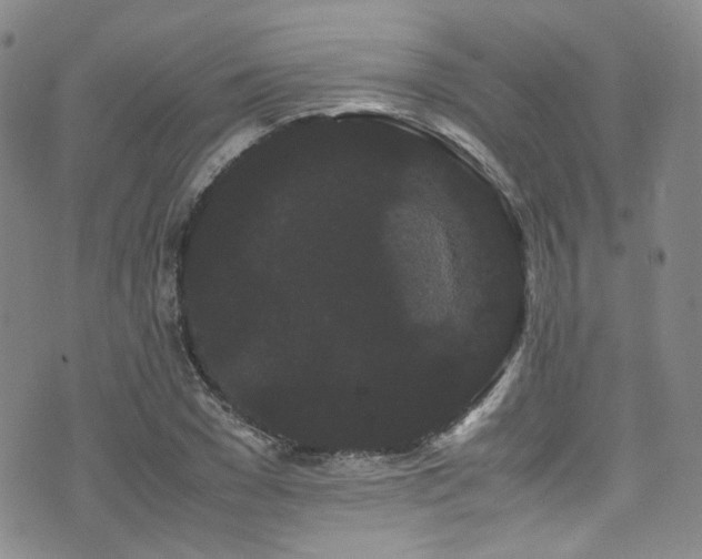 X0000072500977200607141125