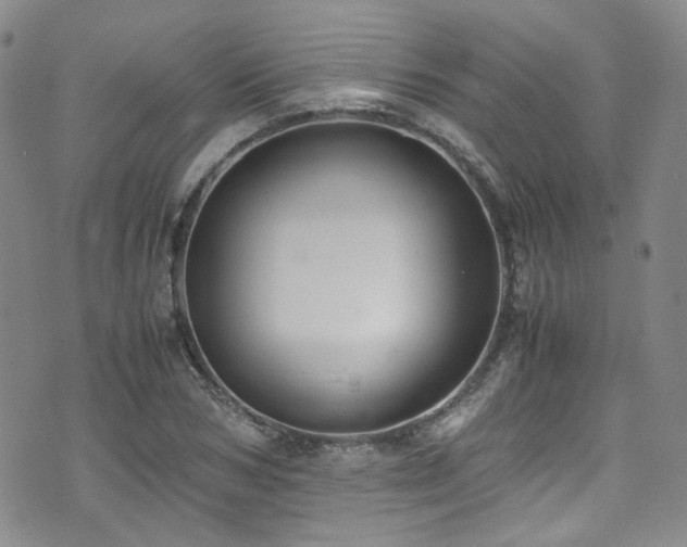 X0000072500978200607141125