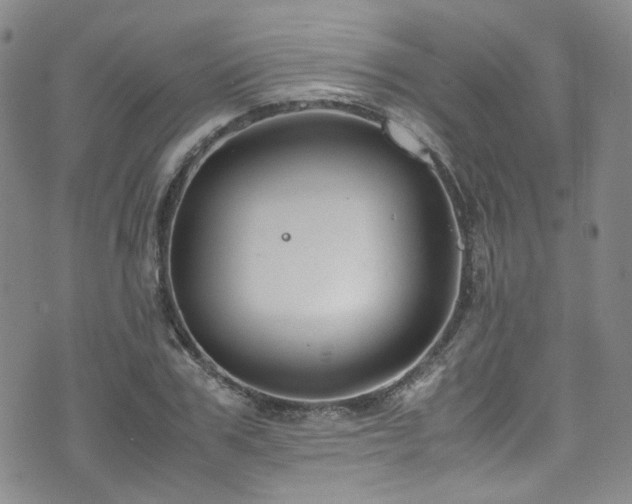 X0000072500979200607141125