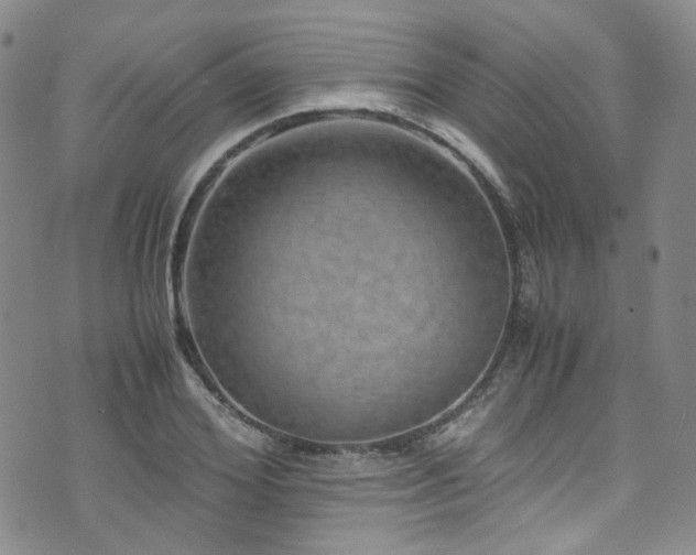 X0000072500980200607141125