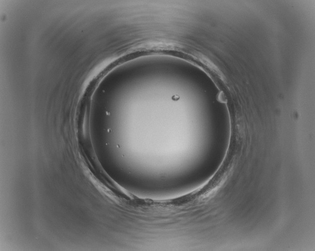 X0000072500981200607141125