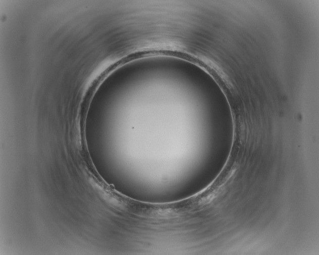 X0000072500982200607141125