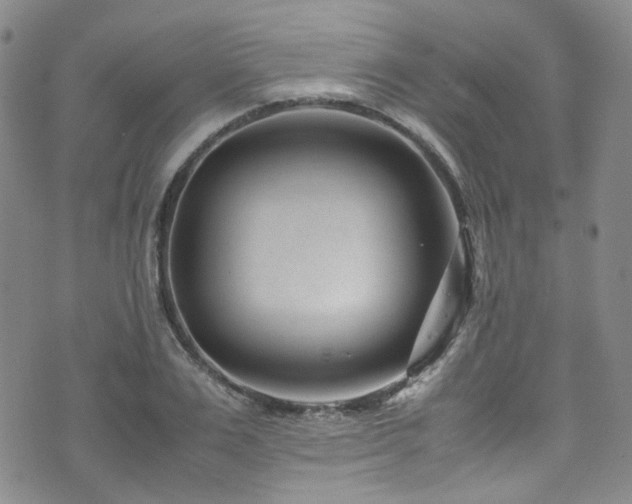 X0000072500983200607141125