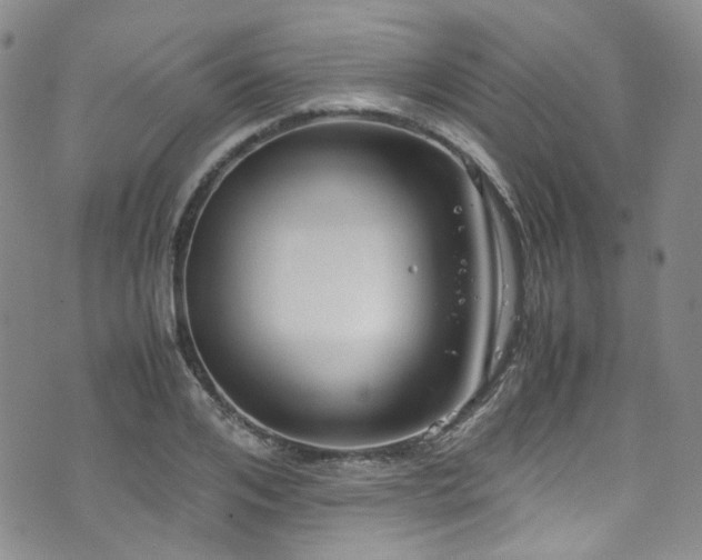 X0000072500984200607141125