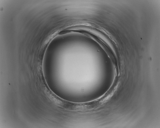 X0000072500985200607141125