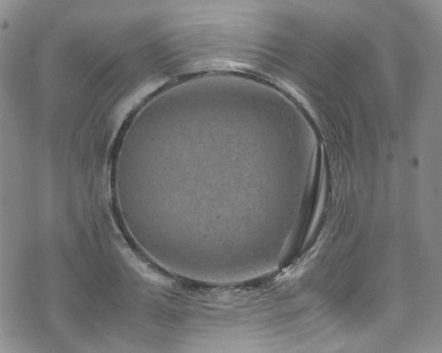 X0000072500987200607141125