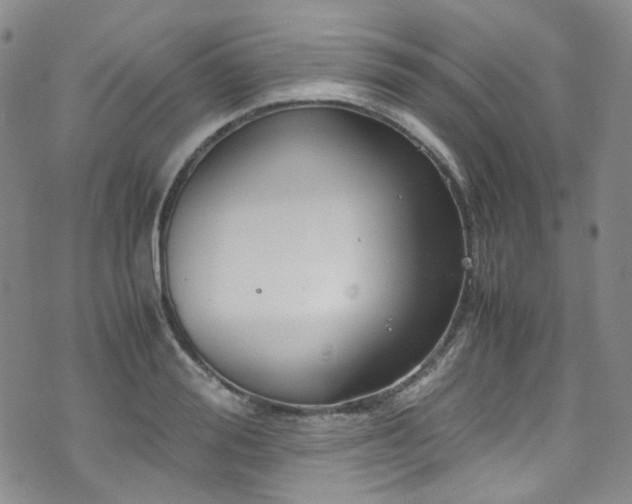 X0000072500988200607141125