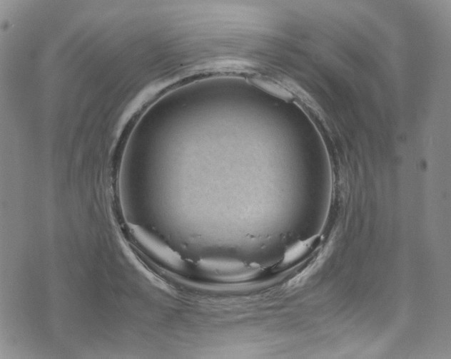 X0000072500989200607141125