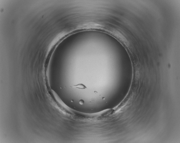 X0000072500990200607141125