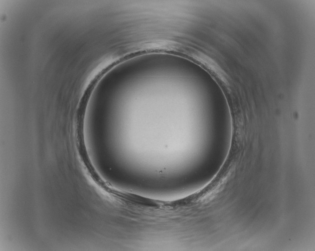 X0000072500991200607141125