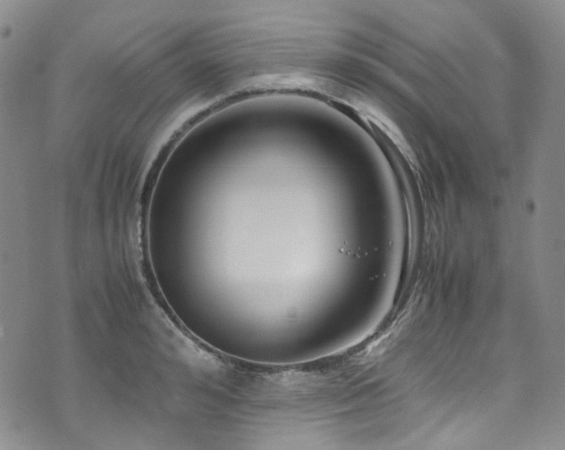 X0000072500992200607141125