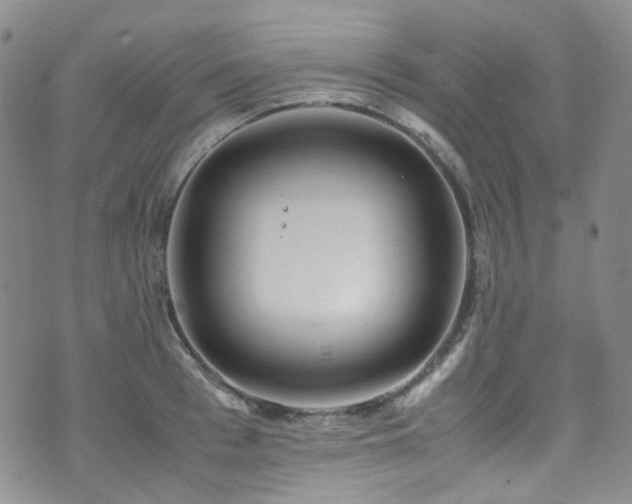 X0000072500993200607141125