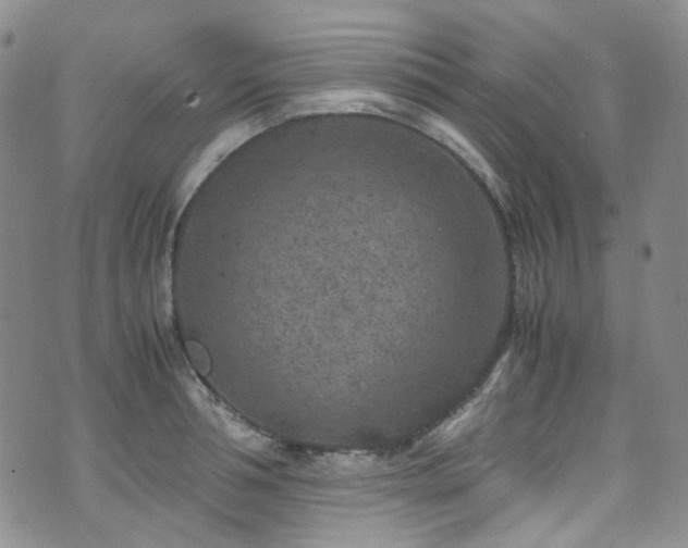 X0000072500994200607141125