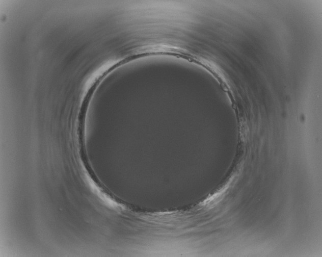 X0000072500995200607141125