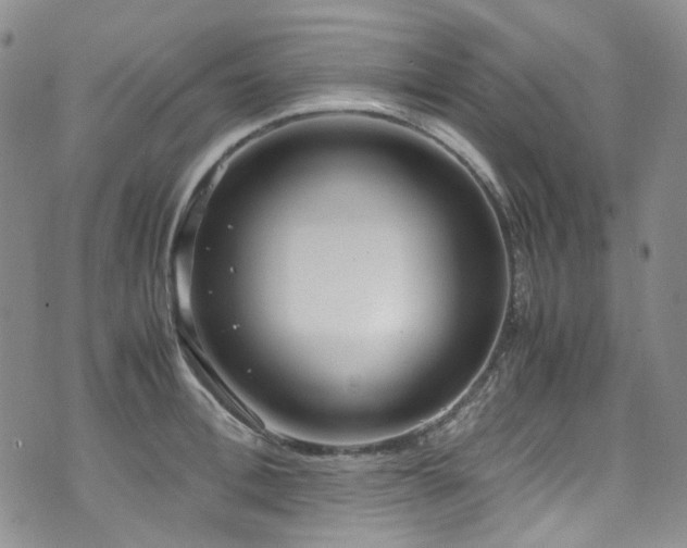 X0000072500996200607141125