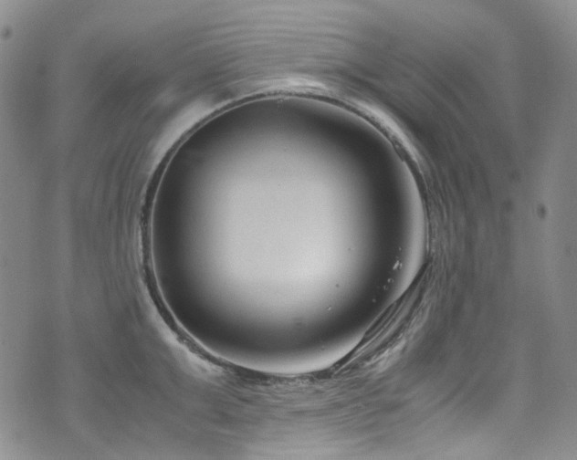 X0000072500999200607141125