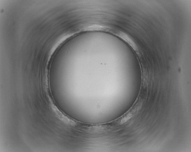 X0000072501000200607141125