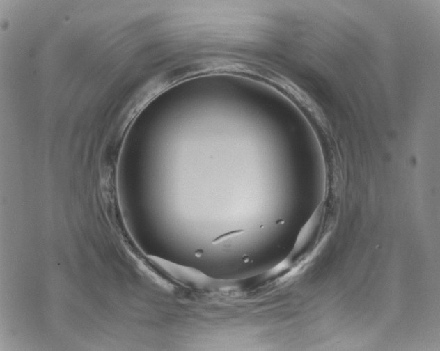 X0000072501001200607141125