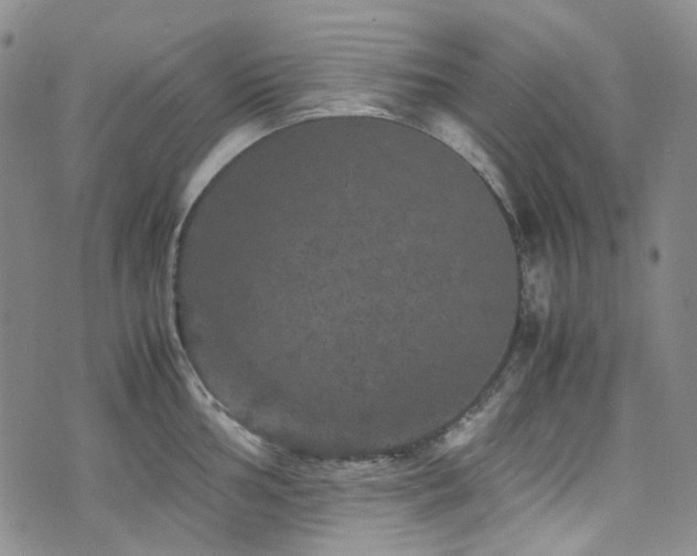 X0000072501002200607141125