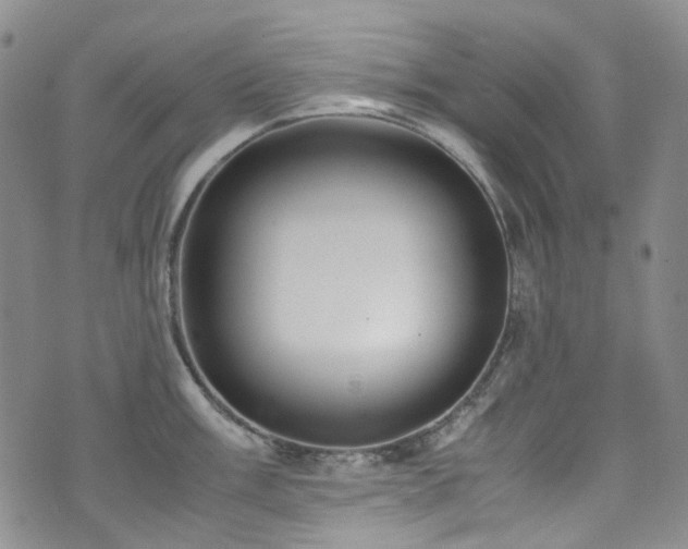 X0000072501003200607141125