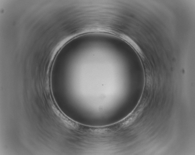 X0000072501004200607141125