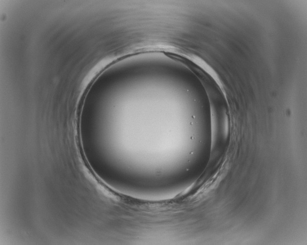 X0000072501005200607141125