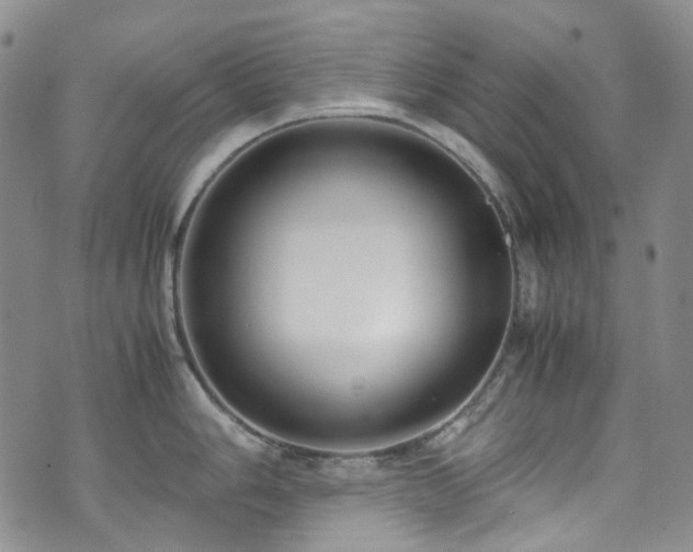 X0000072501006200607141125