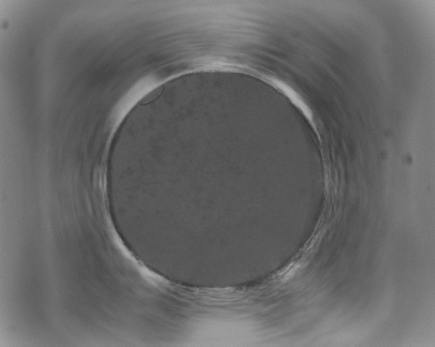 X0000072501007200607141125