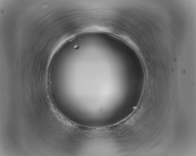 X0000072501008200607141125