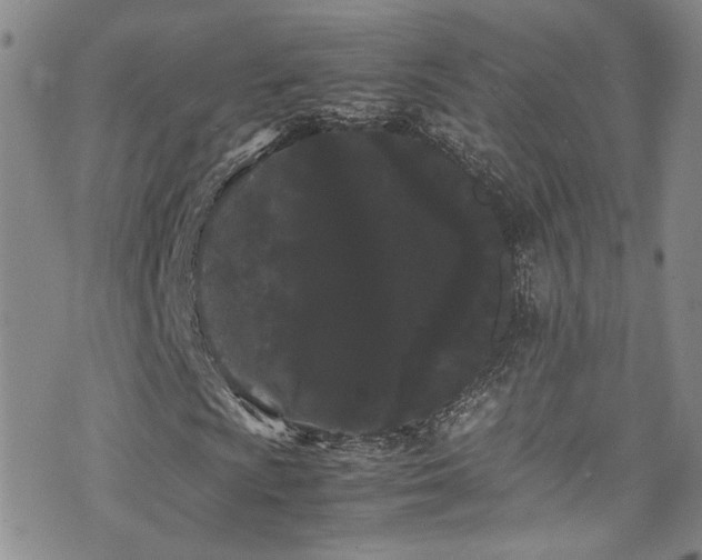 X0000072501009200607141124