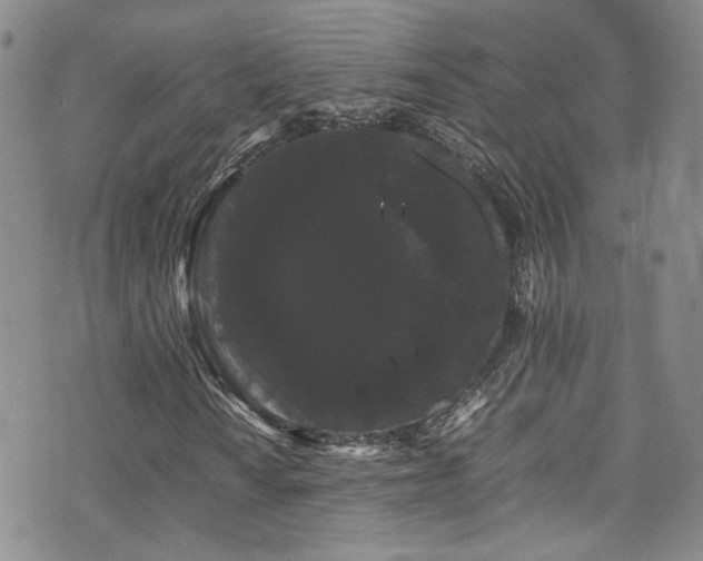 X0000072501010200607141124