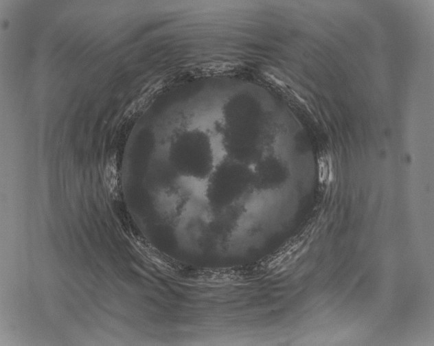 X0000072501011200607141124