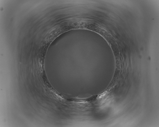 X0000072501013200607141124