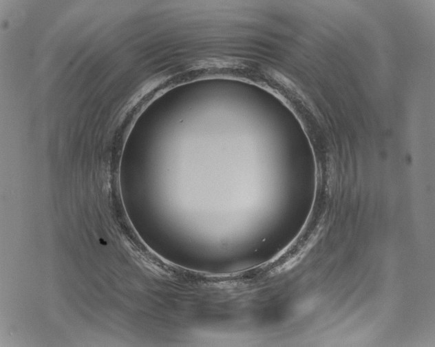 X0000072501017200607141124