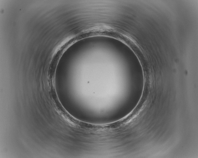 X0000072501018200607141124