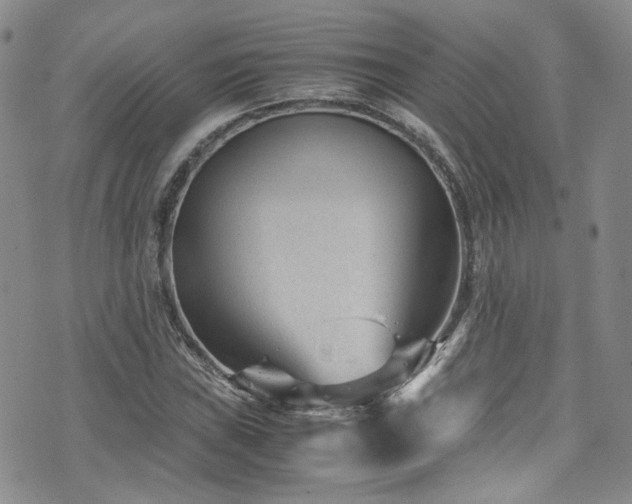 X0000072501019200607141124