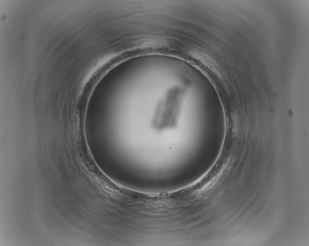 X0000072501021200607141124