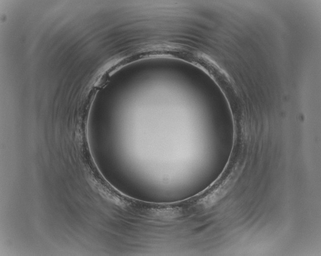 X0000072501025200607141124