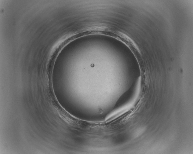 X0000072501027200607141124