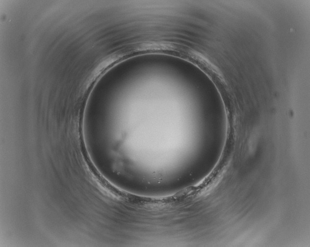 X0000072501033200607141124