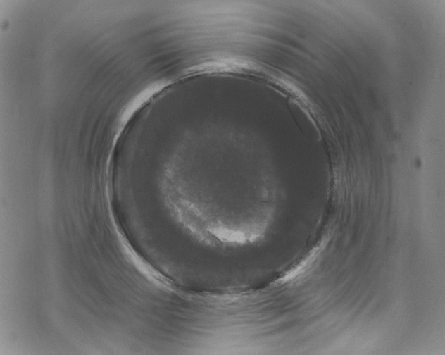 X0000072501034200607141124