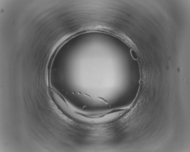 X0000072501036200607141124