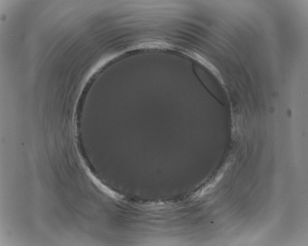 X0000072501037200607141124