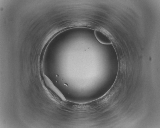 X0000072501039200607141124