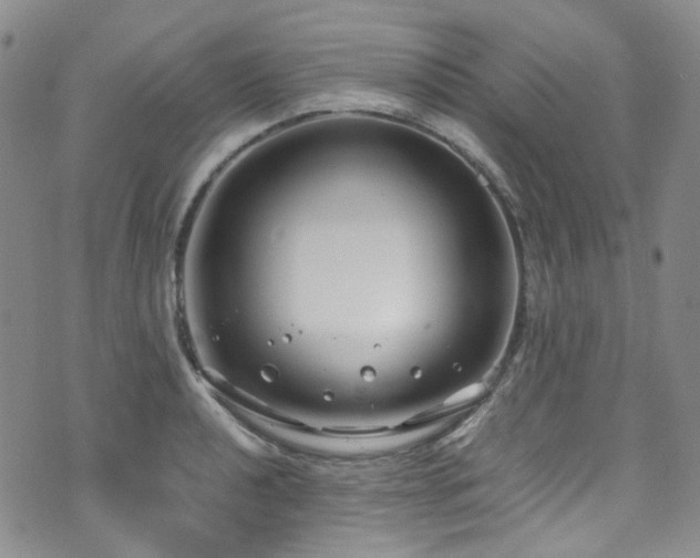 X0000072501040200607141124