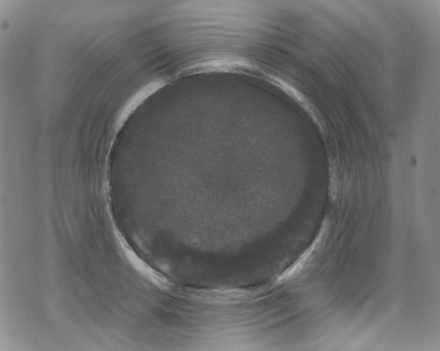 X0000072501042200607141124