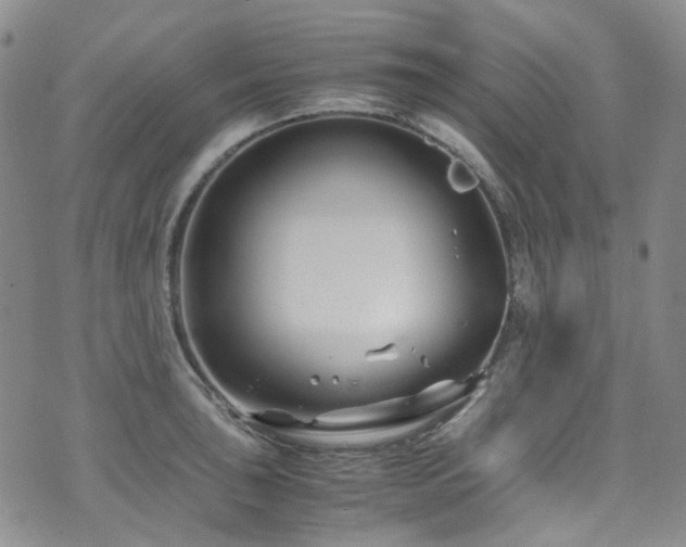 X0000072501043200607141124